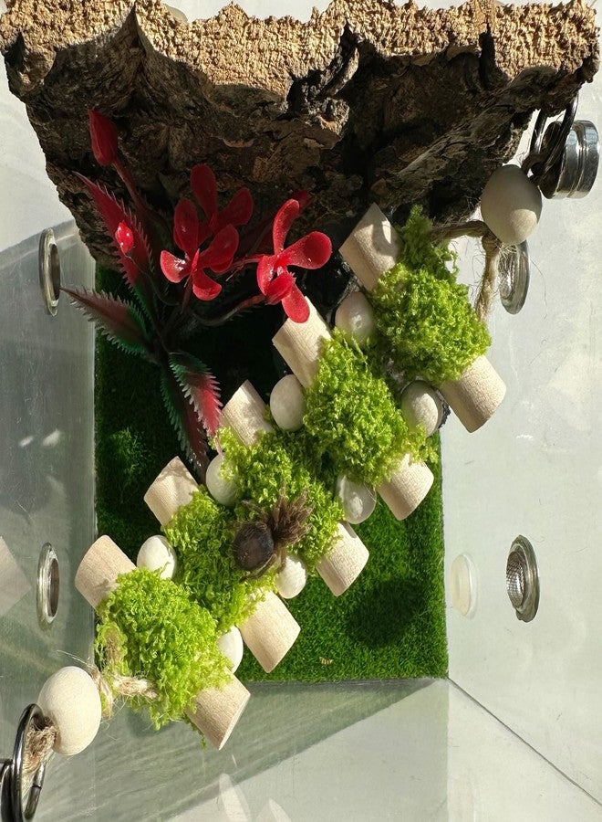 Heyshapeing Jumping Spider Rope Bridge,Handmade Solid Wood Suspension Bridge with 2 Green Spider Webs, Decorative Accessory for Small Reptile Enclosures, Ideal for Jumping Spider Habitats - Image 1