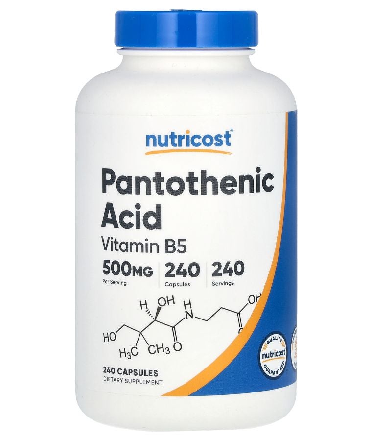 Pantothenic Acid 500 mg 240 Capsules