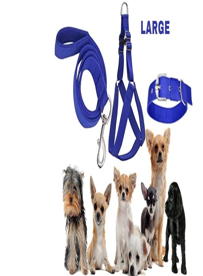 SUPER CHAIN Colourful Adjustable Nylon Dog Leash Harness and Collar Combo, Suitable for Dogs (Collar + Harness +Leash) (Large, Blue) - Image 2