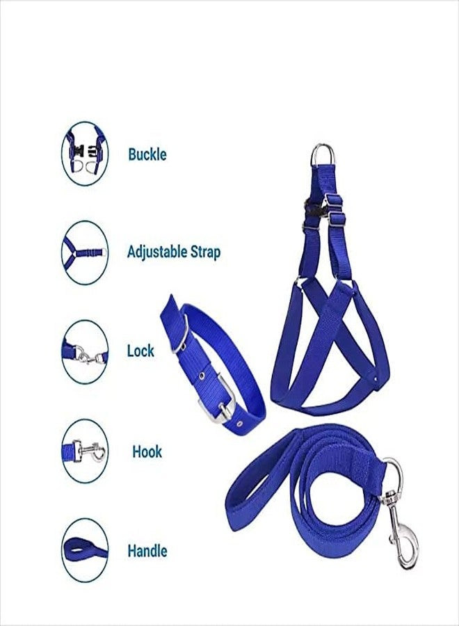 SUPER CHAIN Colourful Adjustable Nylon Dog Leash Harness and Collar Combo, Suitable for Dogs (Collar + Harness +Leash) (Large, Blue) - Image 4