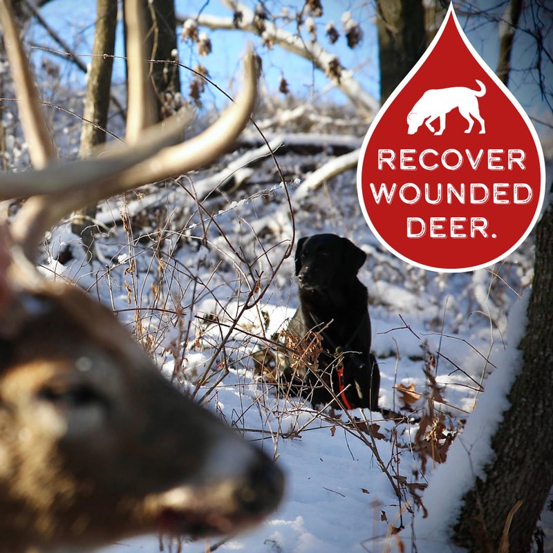 DogBone BloodTrail Scent for Tracking Dog Training | Dog Training Kit | Hunting Dog Accessories | Dog Scent Training Kit | Deer Hunting Accessories | Dog Training Tools | Scent Work Training for Dogs - Image 2