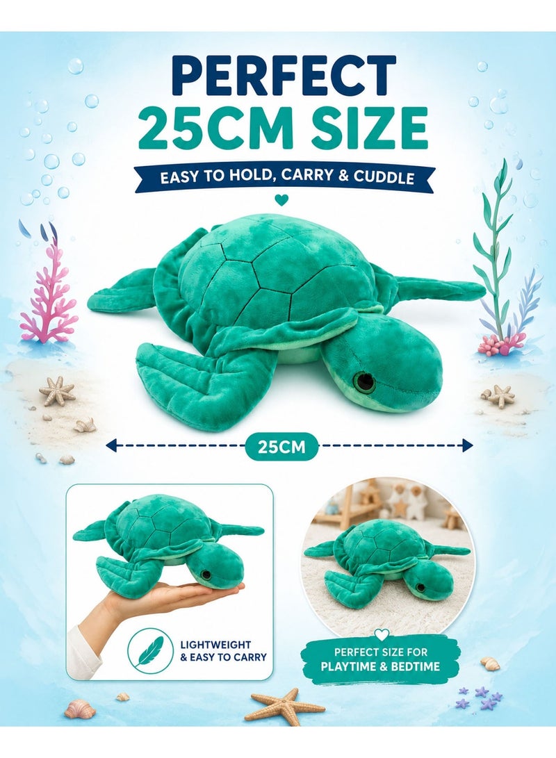 Wild Planet Sea Turtle Plush Toy 25cm Soft Ocean Stuffed Animal for Kids Realistic Marine Turtle Plush Pillow Cute Cuddly Sea Creature Doll for Boys & Girls Educational Wildlife Plush Gift Bedroom Nursery Travel Companion - Image 3