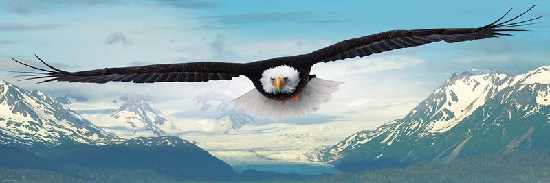 EuroGraphics Eagle Panoramic 1000pc - Image 2