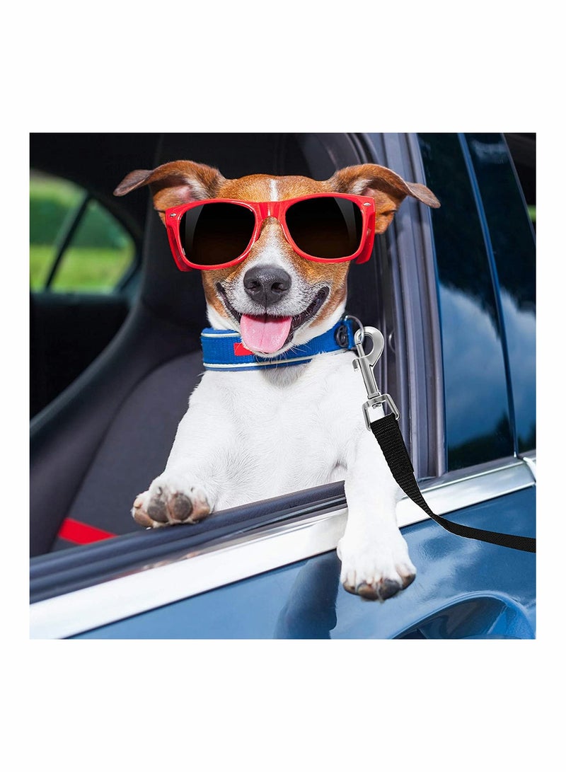 Extra Long Line Training Dog Leash, Long Lead For Large, Medium and Small Dogs Great for Training, Play, Camping, or Backyard, 10m - Image 3