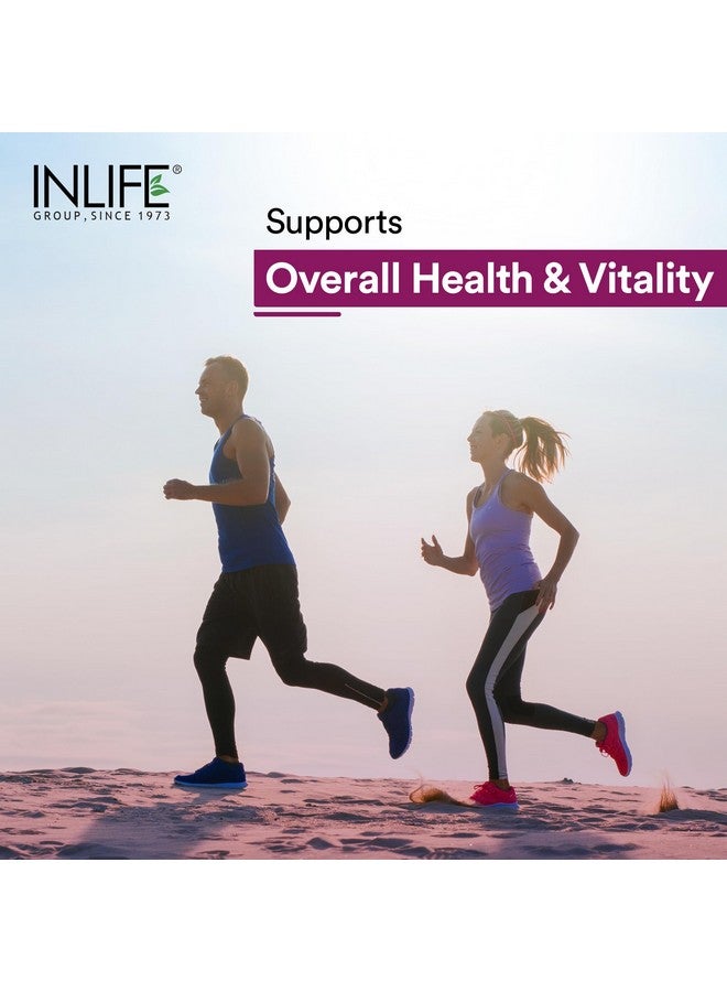 Inlife أقراص متعددة الفيتامينات للرجال والنساء مع الجينسنغ والبريبايوتيك بروبيوتيك | مكمل متعدد الفيتامينات مع فيتامين ب12، ج، د، هـ، زنك وبيوتين - 120 قرص - Image 5