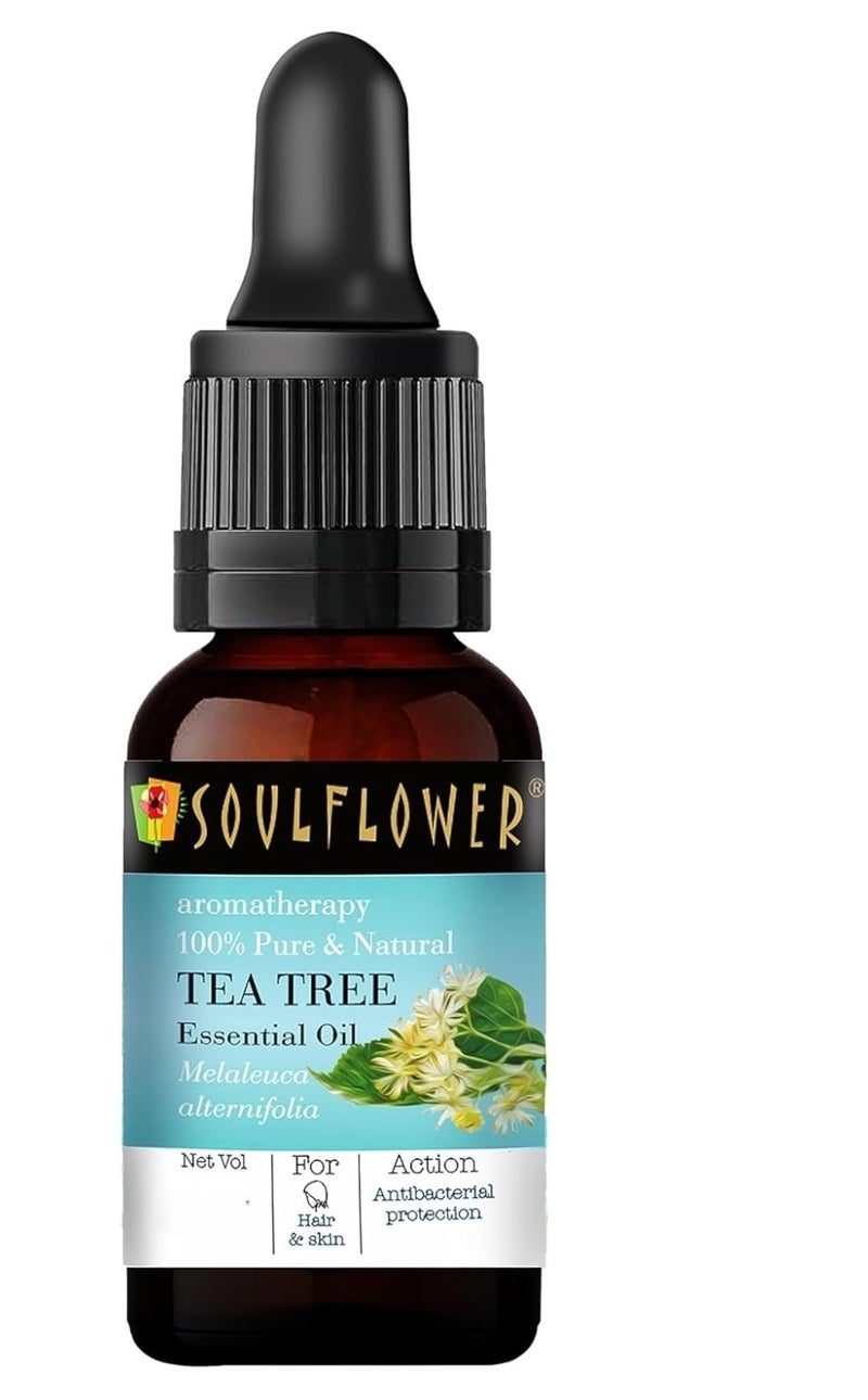 Soulflower Tea Tree Essential Oil for Skin, Hair, Face, Acne Care, Dandruff | Ecocert Certified Organic 100% Pure, Natural, Undiluted Therapeutic Grade | 15ml - (Pack of 2) - Image 2