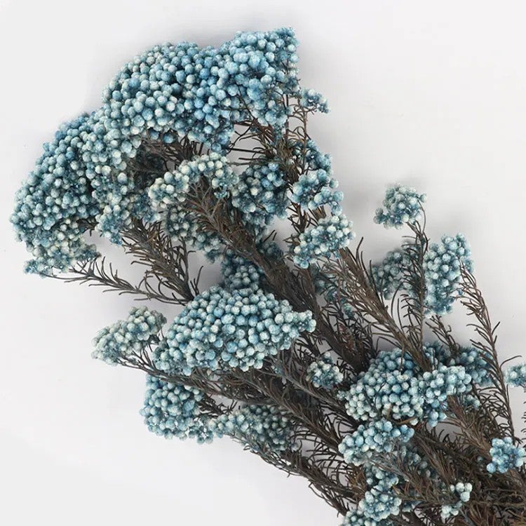 Bluejw Natural Dried Millet Flower Rice Flowers – Small Preserved Dried Plants for Wedding Floral Decor, Rustic Bouquet Fillers & Boho Home Arrangements - Image 1