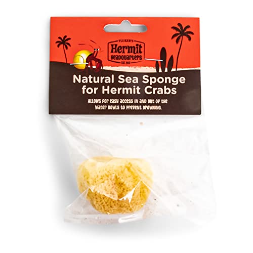 Fluker's Natural Sea Sponge for Hermit Crabs - Image 4