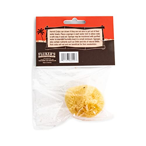 Fluker's Natural Sea Sponge for Hermit Crabs - Image 2