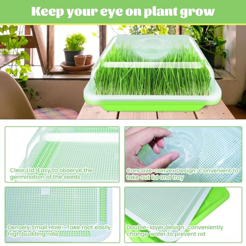 Legigo 5 Pack Seed Sprouter Trays with Lids- Soil-Free Cultivation Germination Tray, BPA Free Micro Greens Growing Trays Seed Sprouting Trays Kit with Germinating Paper for Wheatgrass, Beans and More - Image 3