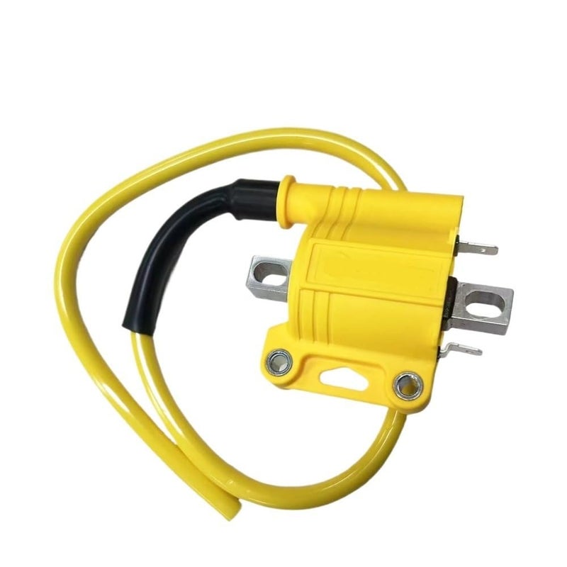 Electronic Fuel Injection EFI Ignition Coil For Motorcycle Oil Line 1pcs - Image 2