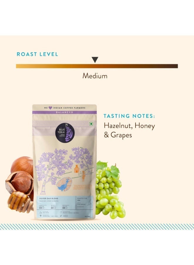 Blue Tokai Coffee Roasters Blue Tokai Coffee Silver Oak Cafe Blend | Medium Roast | French Press Coffee 250 G - Image 3