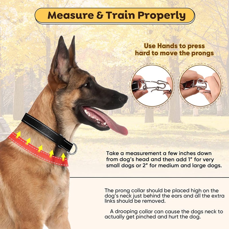 Prong Training Pinch Collar for Dogs with Removable Nylon Protector and Quick-Release Buckle, Extra Prongs for Large Medium Small Dogs L - Image 3