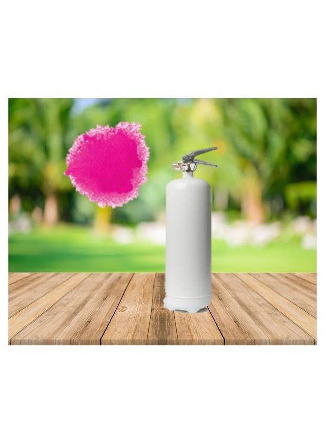 Shreeji Gender Reveal Color Blaster | Gender Reveal Party | Party Events (1 kg, Pink color in White Cylinder) - Image 2