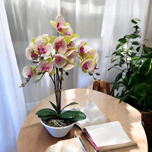 Fox & Fern Artificial 57CM Orchid Flowers in Ceramic Pot with 3 Stems, 5 Flower Sticks GAOR24-0196M| Orchid Bonsai Faux Phalaenopsis Plant (GAOR24-0196M) Multicolor - Image 1