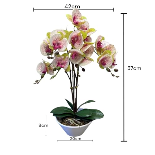 Fox & Fern Artificial 57CM Orchid Flowers in Ceramic Pot with 3 Stems, 5 Flower Sticks GAOR24-0196M| Orchid Bonsai Faux Phalaenopsis Plant (GAOR24-0196M) Multicolor - Image 2