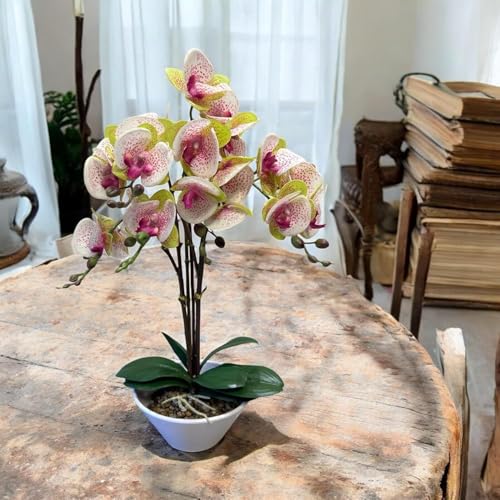 Fox & Fern Artificial 57CM Orchid Flowers in Ceramic Pot with 3 Stems, 5 Flower Sticks GAOR24-0196M| Orchid Bonsai Faux Phalaenopsis Plant (GAOR24-0196M) Multicolor - Image 4