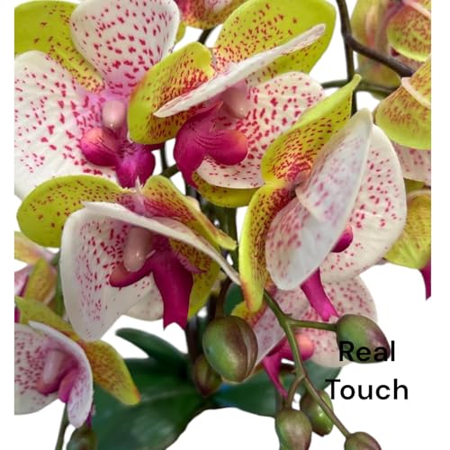 Fox & Fern Artificial 57CM Orchid Flowers in Ceramic Pot with 3 Stems, 5 Flower Sticks GAOR24-0196M| Orchid Bonsai Faux Phalaenopsis Plant (GAOR24-0196M) Multicolor - Image 3