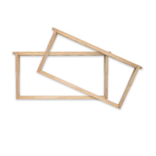 HiveSweet Deep Frames Langstroth Size Deep Brood Beehive Frames with 65 Spikes Suitable for Beekeeping (10 Pack) - Image 2