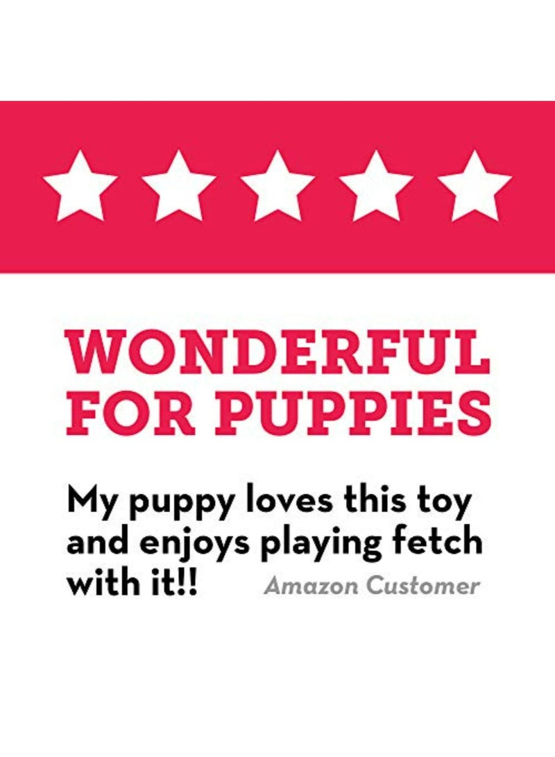 KONG Puppy Flyer Dog Toy, Colors May Vary