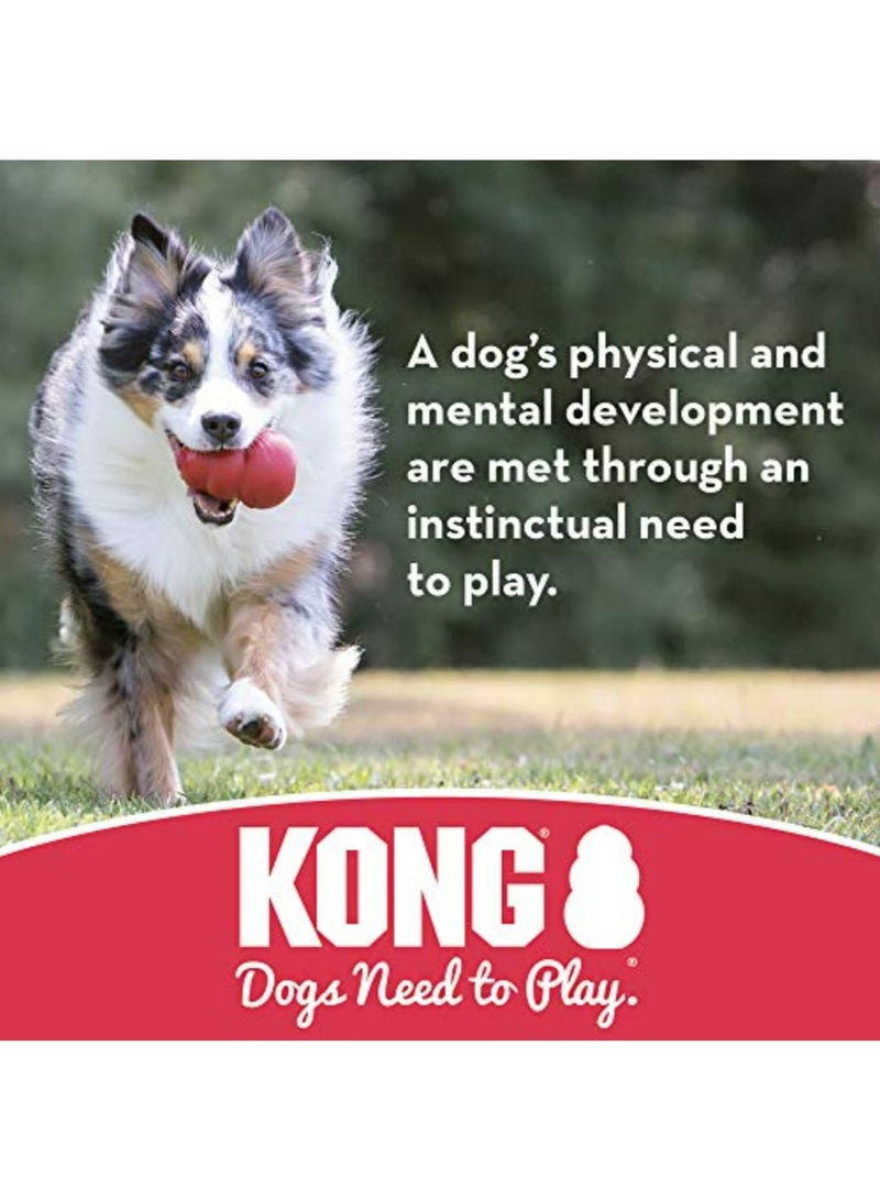 KONG Puppy Flyer Dog Toy, Colors May Vary