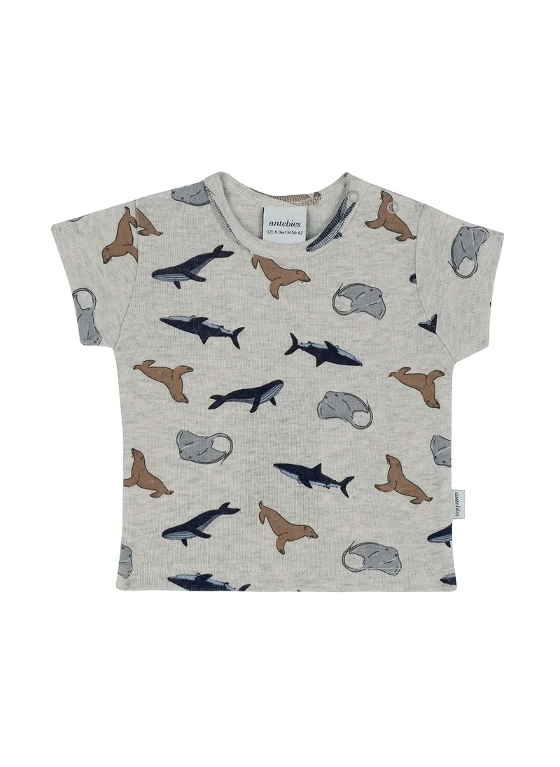 Antebies Fish and Fun Print T-Shirt