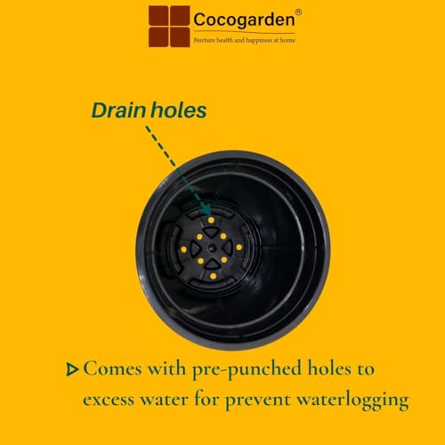 cocogarden 5 Inch Plastic Nursery Pot for Plants (Black, Pack of 6), Round Planters with Drainage for Flowers, Herbs & Saplings, Indoor and Outdoor, Balcony use - Image 3