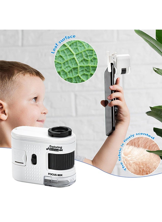 TodyJeyHo Small Handheld Microscope, Children's microscope, With 80X Pocket Sized Microscope,  UV and LED Flashlight, Easy Carrying For Classroom and Laboratory Observation  - Image 2