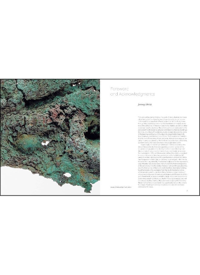 null - Scheidegger und Spiess AG, Verlag Harry Bertoia: Sculpting Mid-Century Modern Life - Image 1