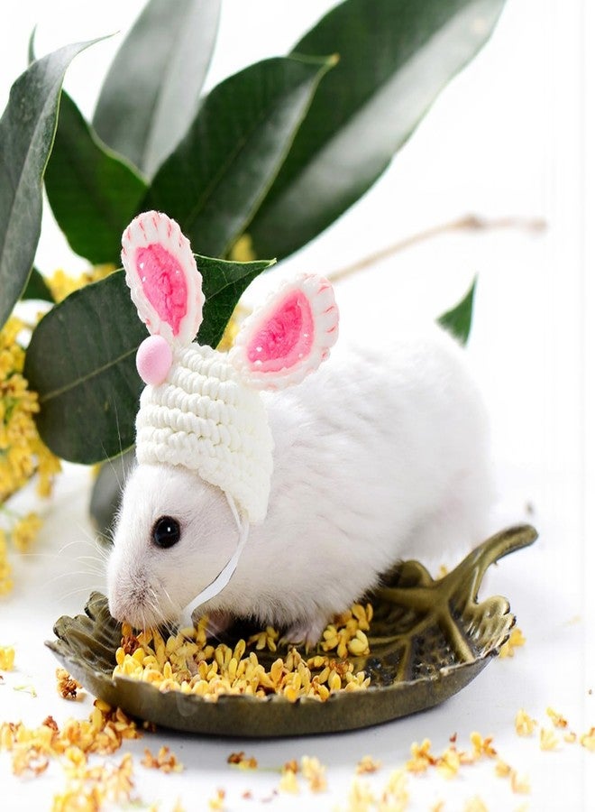 Ymapinc 2pcs Hamster Clothes, Rat Hats for Chickens Small Animal Apparel Hand Knitted Photo Props for Hamsters Dutch Pigs Snakes- Frog & Bunny Style with Adjustable Strap - Image 4