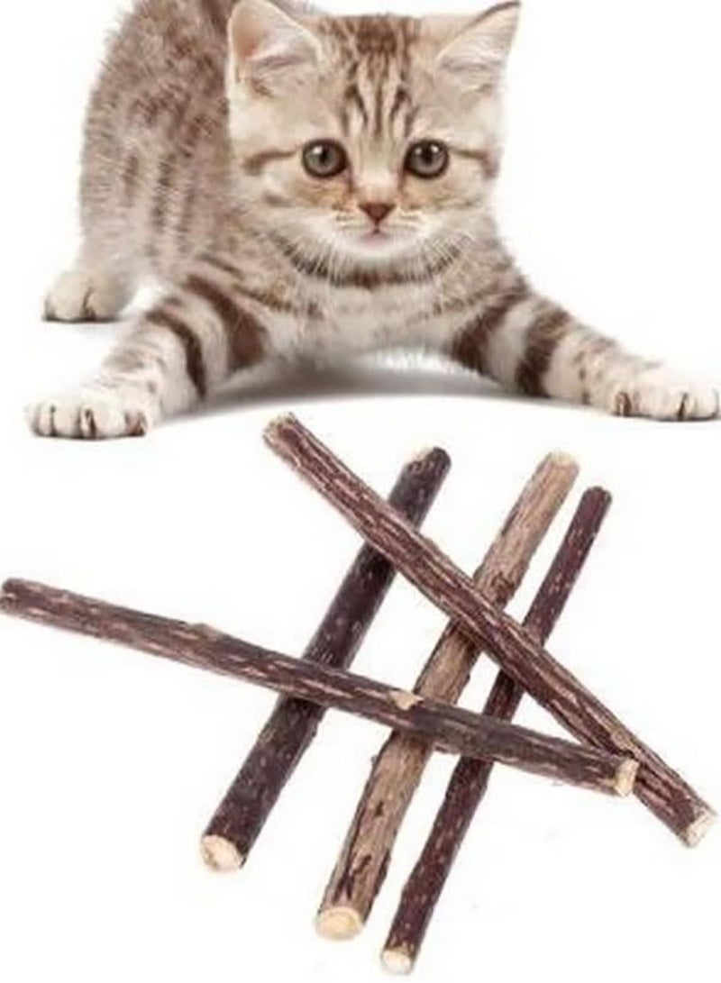 Bioline Catnip Dental Sticks 10g - Image 3