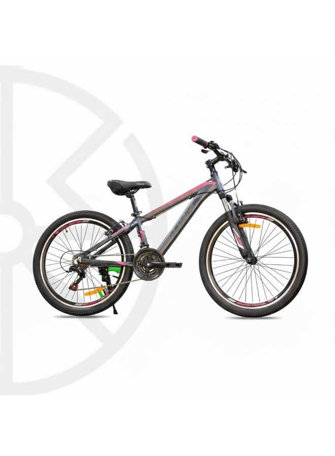 Storm Touareg 24 Bicycle