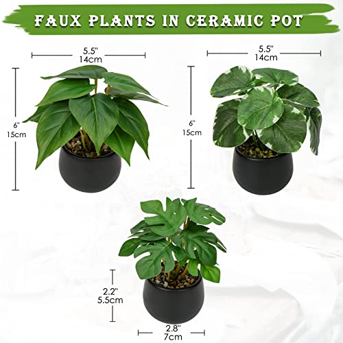 Briful 3PCS Fake Plants Potted Artificial Plants Mini Faux Plants in Black Ceramic Pots Greenery Dcor for Home Office Table Room Farmhouse Indoor Decoration - Image 3