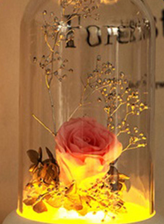 NIBEMINENT Rose Lamp Aromatherapy Machine Oil Diffuser Multicolour 172 x 93mm - Image 2