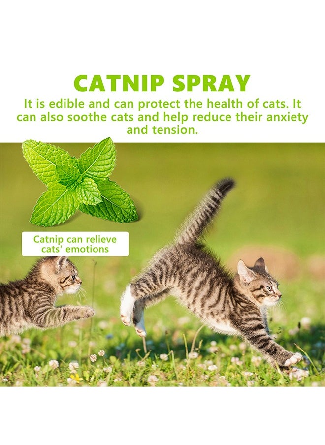 YEGBONG - Catnip spray -suitable for cats and kittens to relieve cat anxiety and enhance pet vitality - Image 1