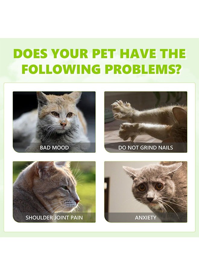 YEGBONG - Catnip spray -suitable for cats and kittens to relieve cat anxiety and enhance pet vitality - Image 1