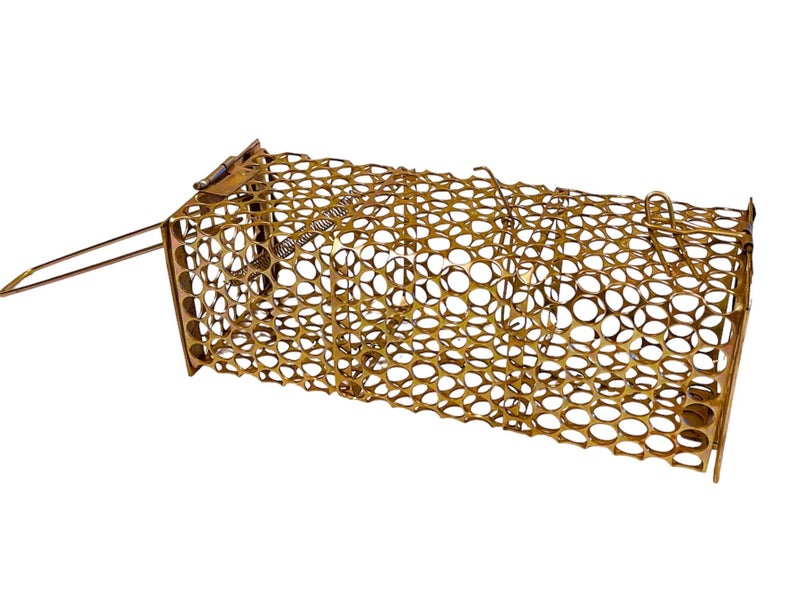 Moira Small Iron Rat Trap (Bronze, 20.5 X 8 X 7.5 cm) - Image 1