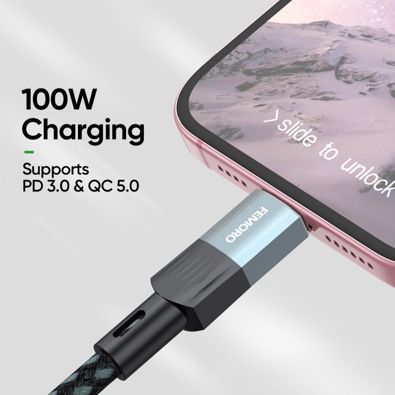 FEMORO USB C Extension Cable 10Ft Long, 10Gbps Data Transfer/100W Charging/4K@60Hz USBC 3.2 Male to USB-C Female Cable Extender Type C Cord for iPhone 15 16 17, Galaxy S25/24, PC, Laptop, SSD and More - Image 4
