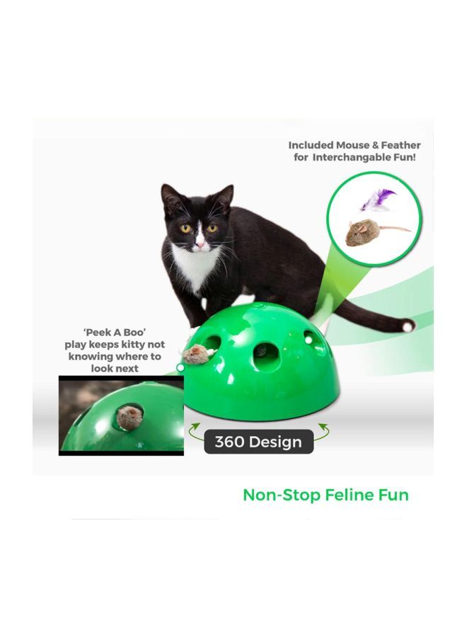 NIBEMINENT Scratching Post Toy Green - Image 5