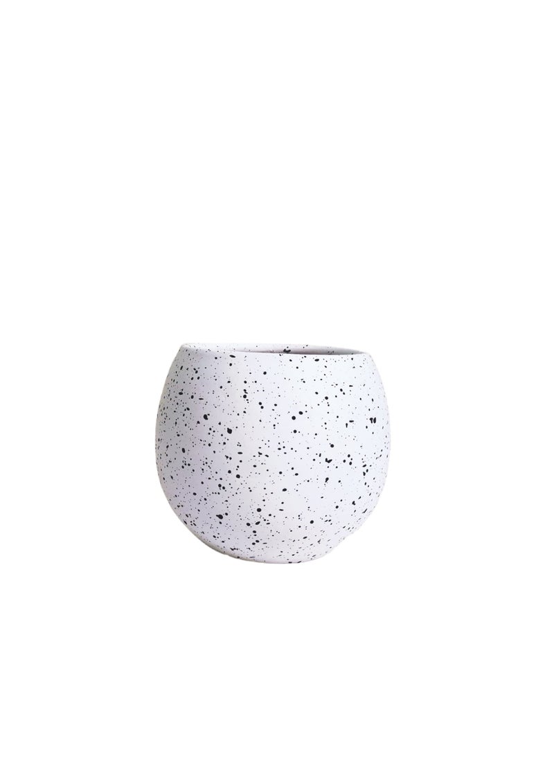    شتلة شوب بوت ابيش تيرازو ديكور للنباتات و الصبارات  - Image 1