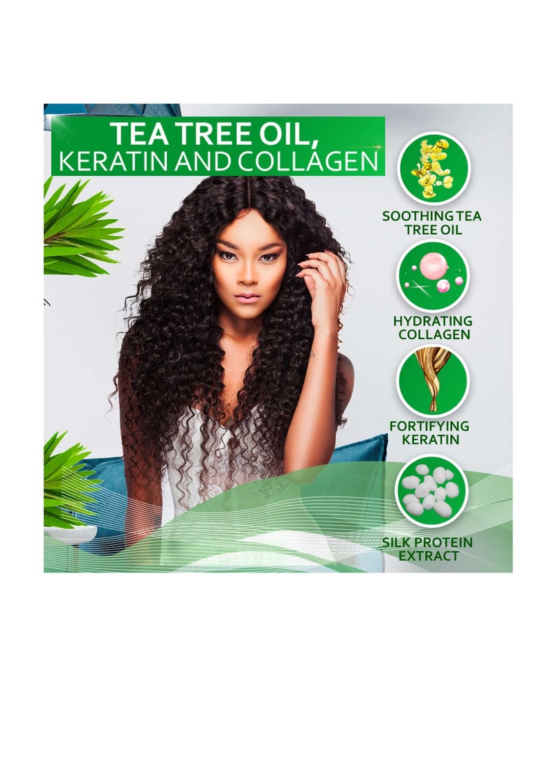 Tea Tree Oil Shampoo - Sulfate and Paraben Free with Collagen Keratin - Ideal for Women and Men with Oily Hair and Scalp Buildup - Anti Dandruff Treatment for Itchy, Dry Scalps – Salon Grade Products - pzsku/Z1C1951998EFEAFB15A41Z/45/_/1738411672/2a88ed97-071d-4c75-8c03-7dc0422c1487