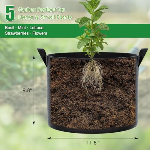 FEED GARDEN 5 Gallon Grow Bags 4 Pack 300G NonWoven Thickened Fabric Plant Pots with Reinforced Handles Breathable Drainage Planters for Vegetables Flowers Herbs Indoor Outdoor - Image 3