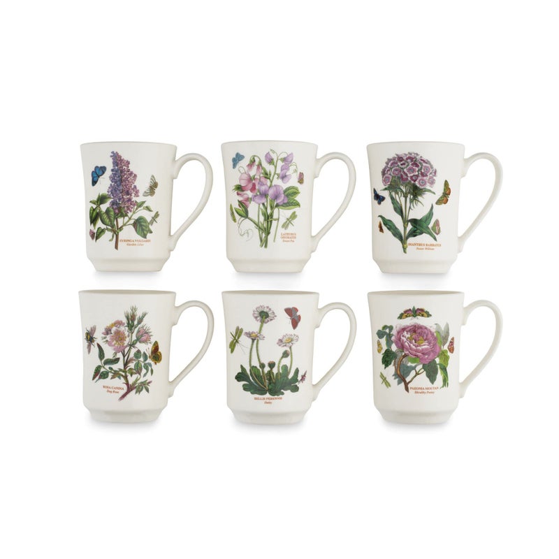 Portmeirion Portmeirion Botanic Garden 14oz Flared Tankard Mug Set of 6  Assorted Floral Motifs Fine Earthenware Stylish Coffee Mug  Dishwasher Microwave Freezer Oven Safe  Made in England 