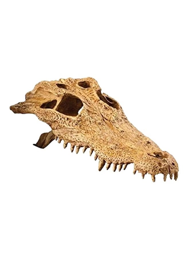 Exo Terra Crocodile Skull - pzsku/Z1C1B6EBA844C36B6F86BZ/45/_/1733914717/a2f3a09f-a071-4222-8caa-4aeff73e3363