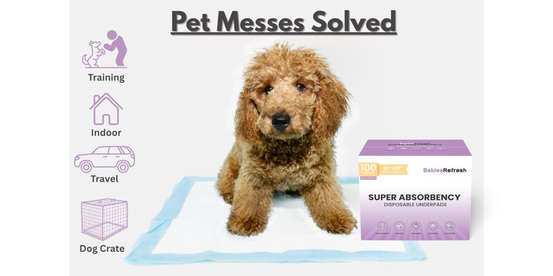 BabiesRefresh 100 Count Super Absorbency Medium 22â€ x 22" Disposable Underpads, Leakproof Quick Drying for Multi-use for Babies, Puppy Pads and Adults, Potty Training Pads, Pet Pee Pads, Cat Pee Pads, Blue - Image 2