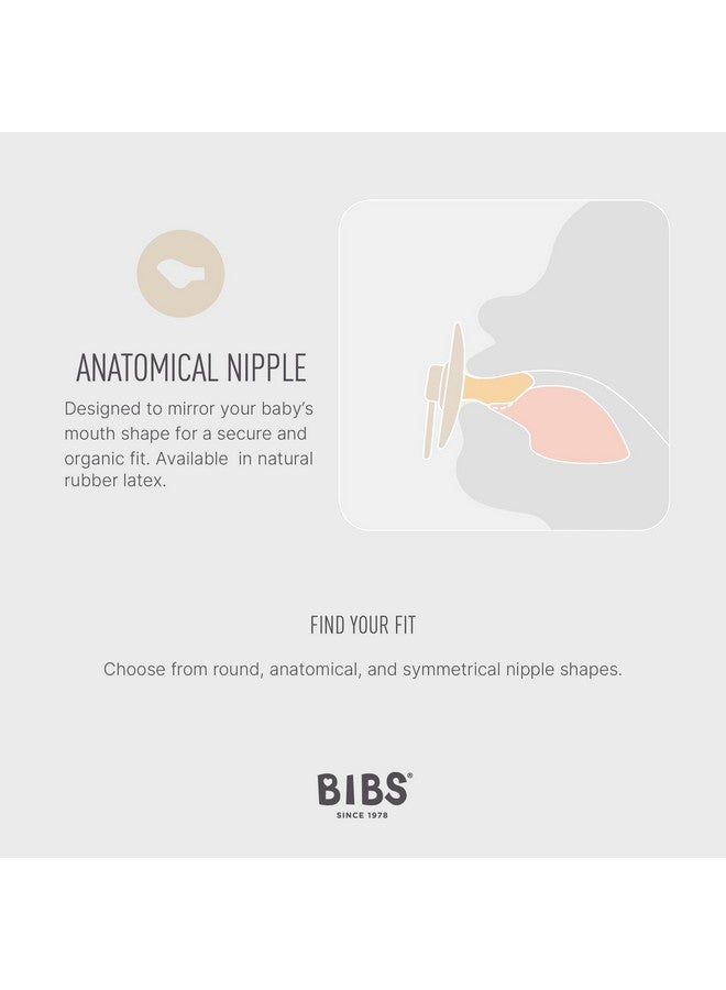 بيبس لهايات BIBS من 0 إلى 6 أشهر | عبوة من قطعتين | حلمة تشريحية | مطاط طبيعي خالٍ من مادة BPA | صُنع في الدنمارك | لهاية بلون أخضر غامق/رمادي فاتح - Image 2