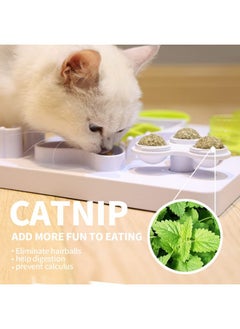 AFP Interactive Cat Food Maze, Mental Stimulation Cat Puzzle Toy Slow Feeding Treat Dispenser, Multiple Modules with 3 Catnip Balls Cat Digger Toy for Indoor Cats - pzsku/Z1C1D2AD801333D8293C0Z/45/_/1737031370/73197ad8-ca8a-4201-9c2a-5de144d77c54