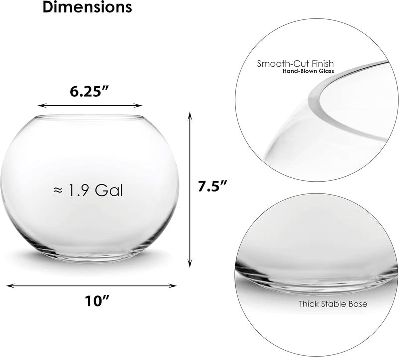 CYS EXCEL Glass Bubble Bowl (H-7.5" W-10", Approx. 2 Gal.) Multiple Size Choices Fish Bowl Vase Glass Round Bowl Terrarium Globe Flower Vase Centerpiece - Image 2