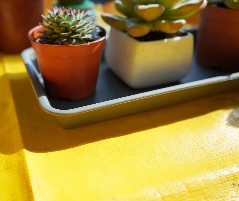 VUWEZ Rectangle Plant Tray, Plant Drip Tray, Plant Pot Saucers, Plant Germination Trays, Plant Saucers - Image 5