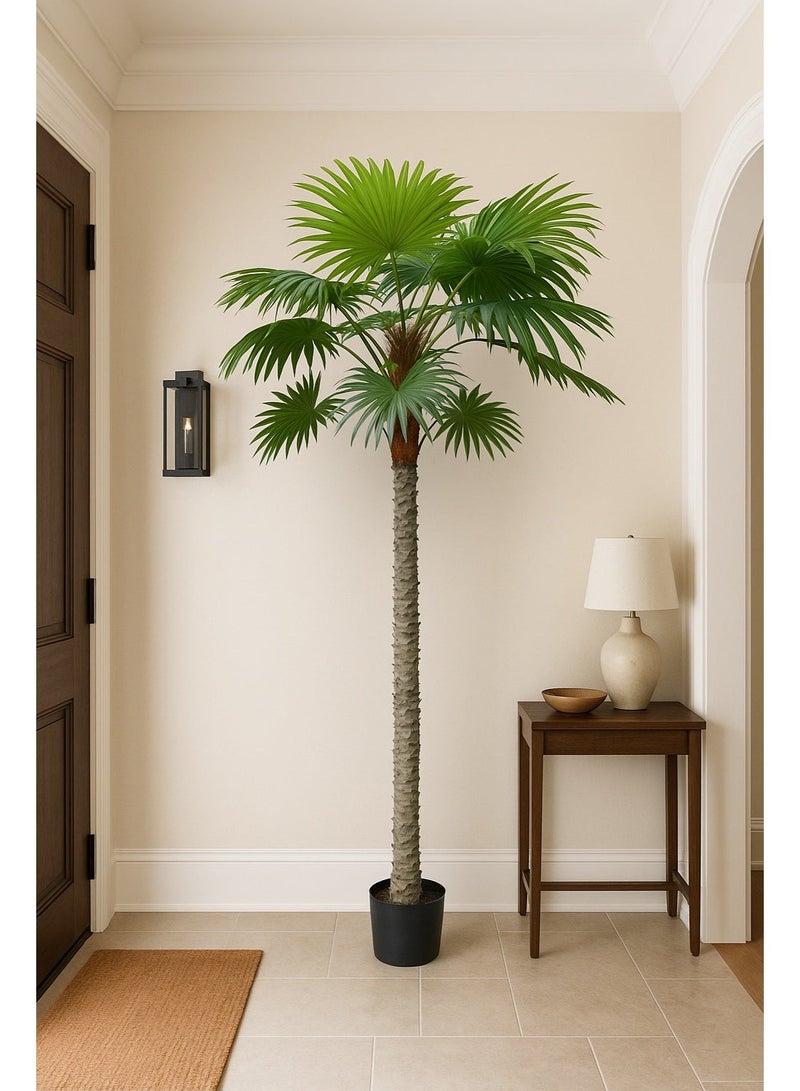درامــــــا هوم  شجرة نخيل صناعية فاخرة بارتفاع 200 سم – أوراق خضراء بملمس طبيعي واقعي – مثالية للديكور الداخلي والخارجي – نبات صناعي طويل يضفي لمسة طبيعية وأنيقة - Image 1